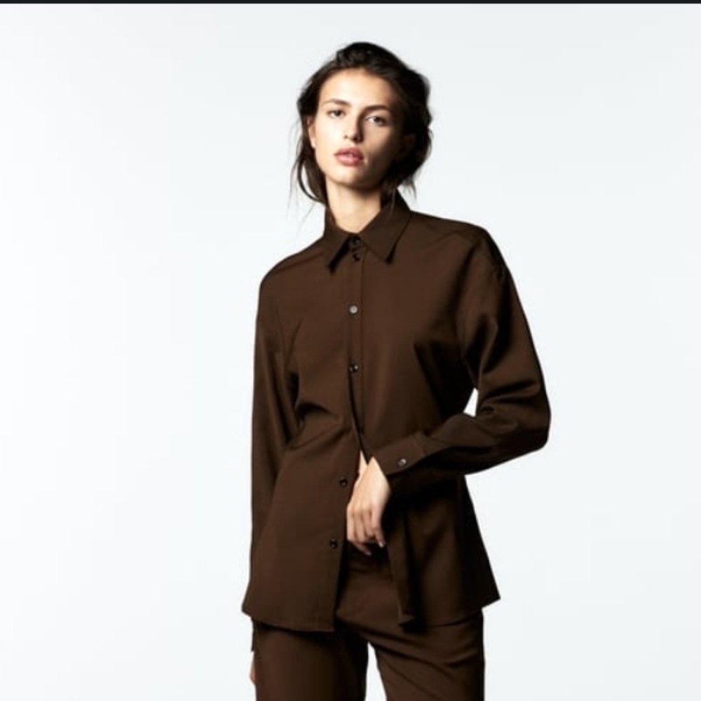 Zara Tailored Brown Shirt